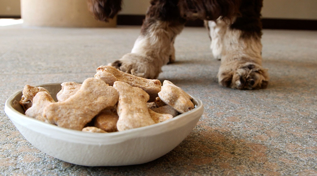 Homemade Dog Treats: Tips on Making Your Own